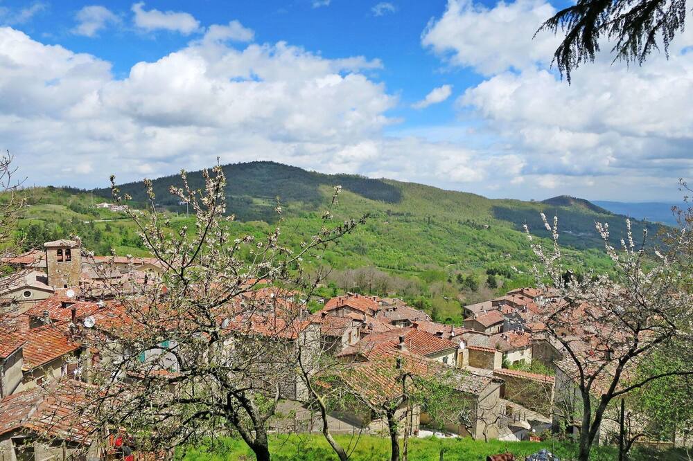 Photo of Outdoor in Montieri