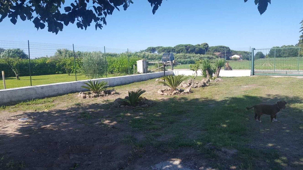 Photo of Outdoor in Paestum