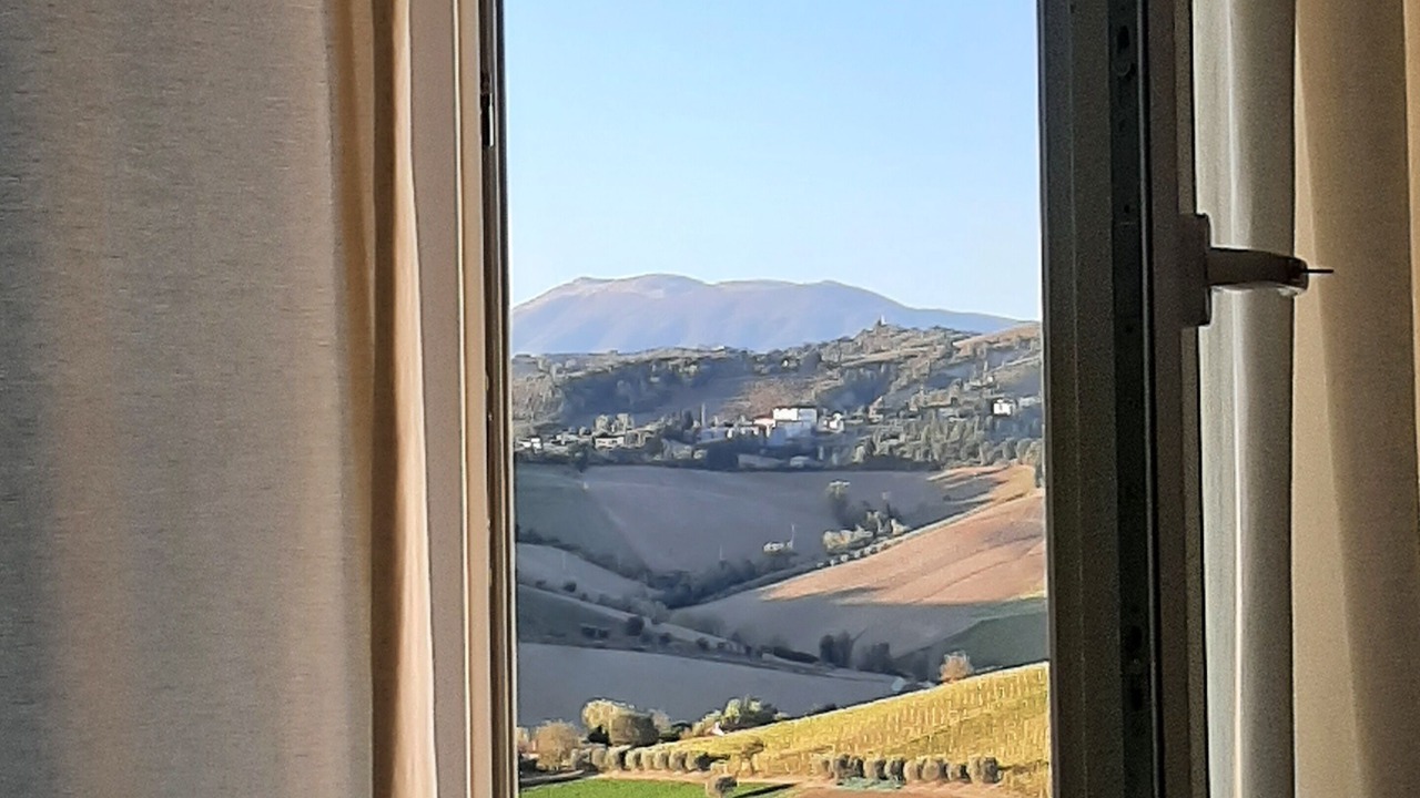 Photo of Others in Montalto delle Marche