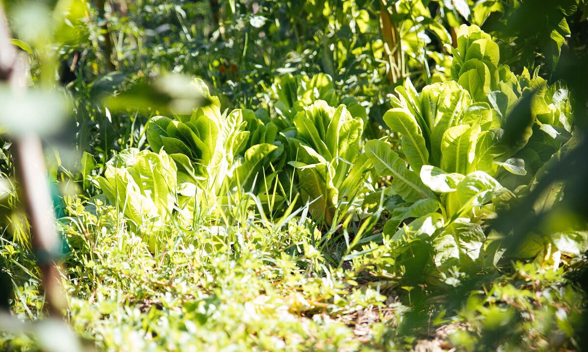 Photo of Outdoor in Rapagnano