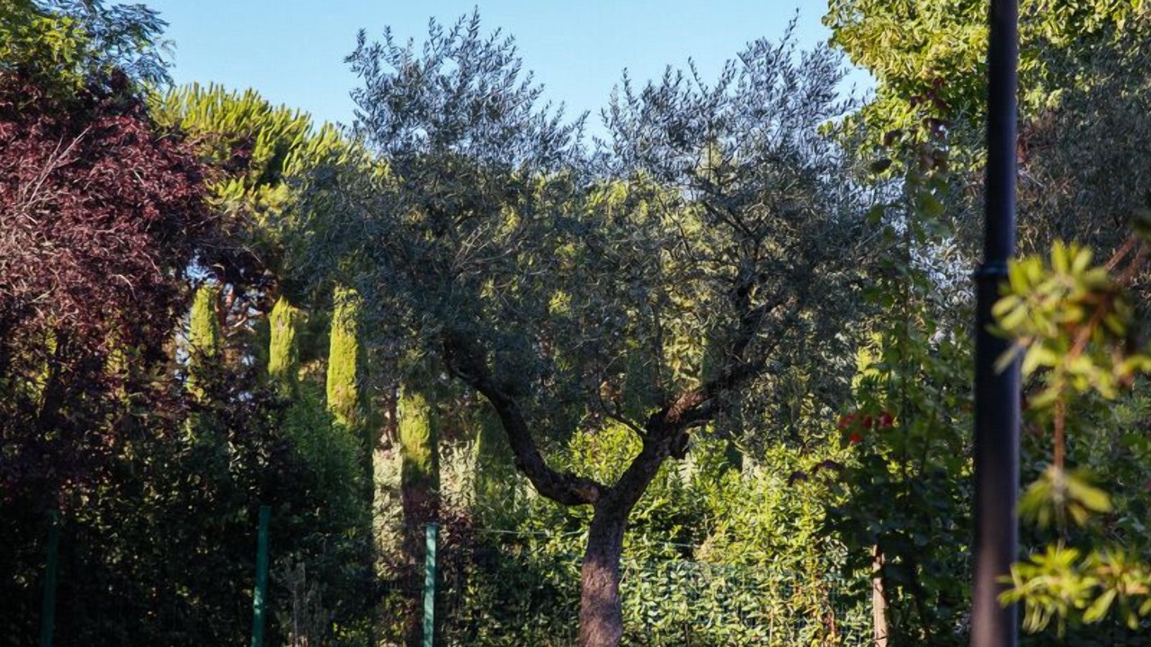 Photo of Outdoor in Rapagnano