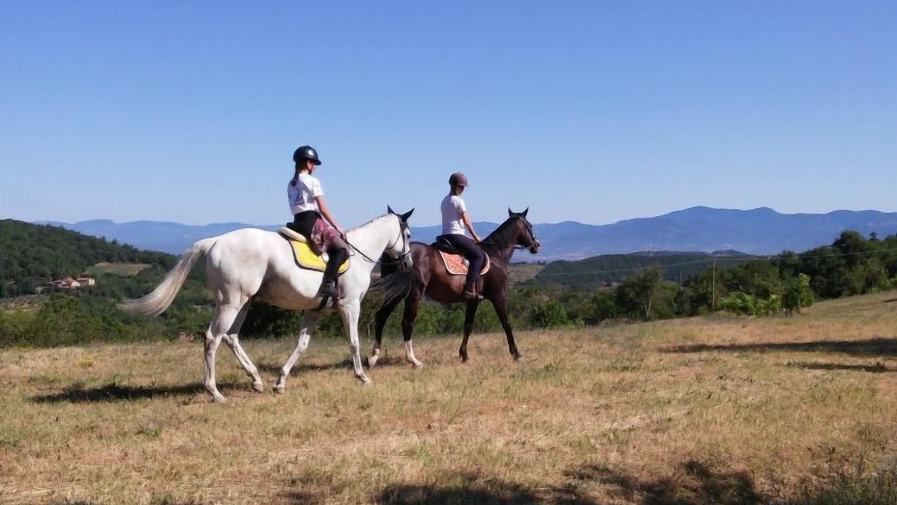 Photo of Others in Monte Santa Maria Tiberina