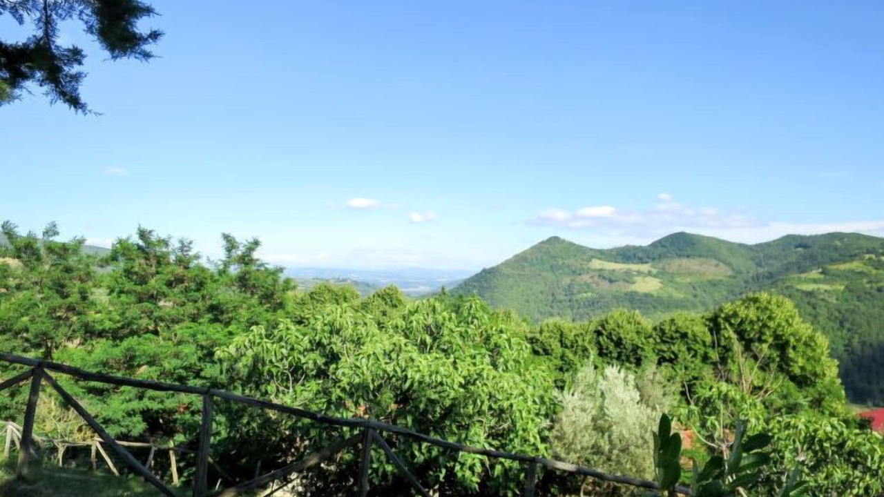 Photo of Others in Monte Santa Maria Tiberina