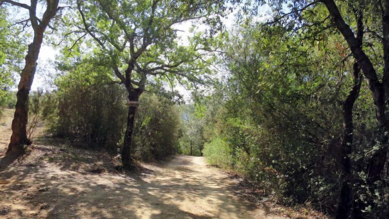 Photo of Outdoor in Montorsaio