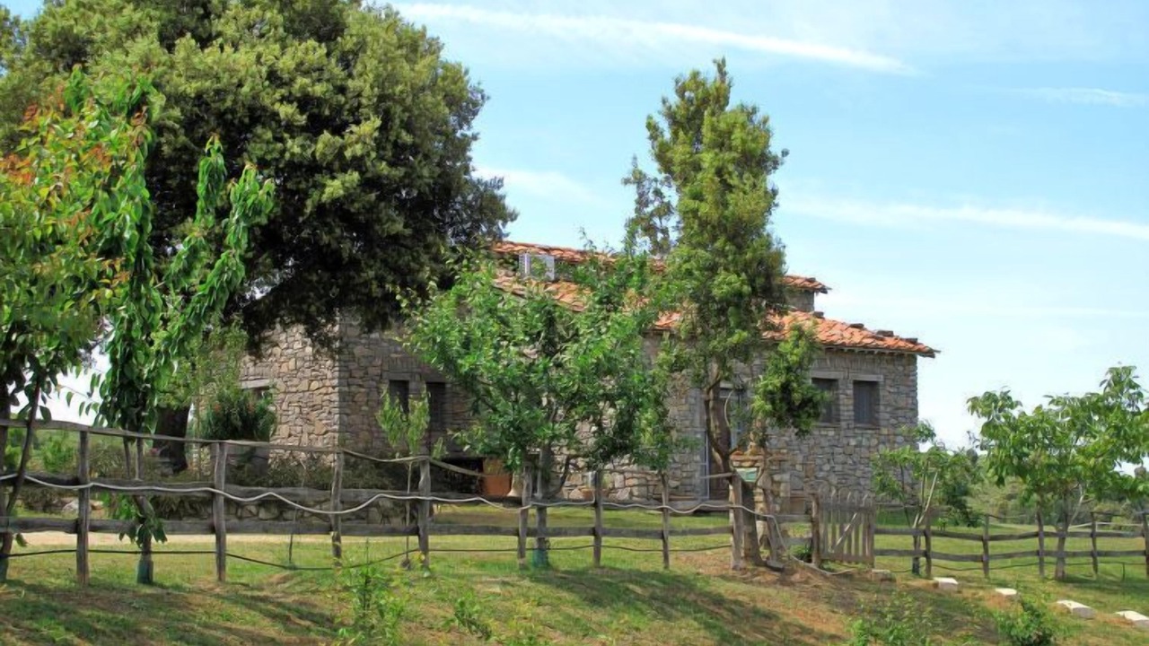 Photo of Outdoor in Scansano