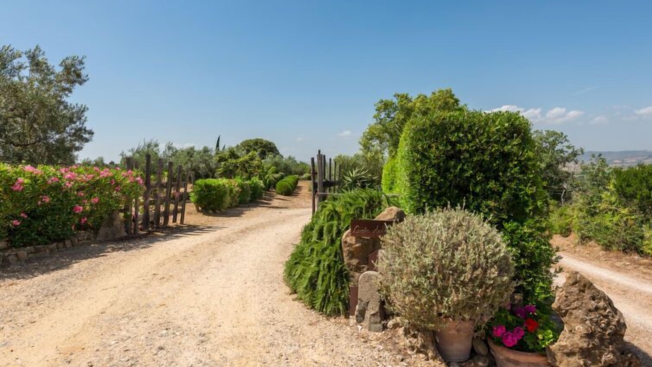 Photo of Outdoor in Scansano