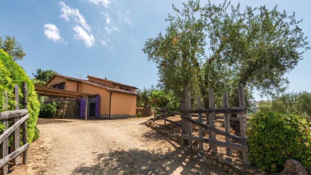 Photo of Outdoor in Scansano
