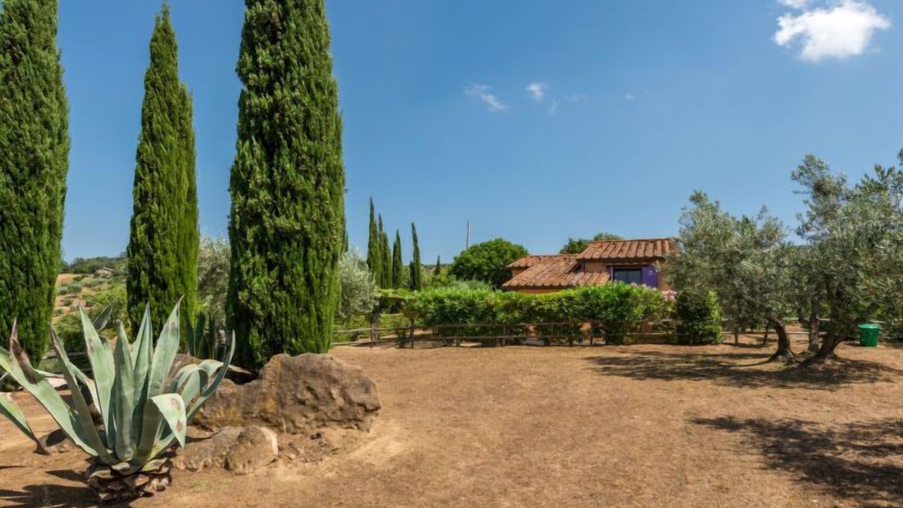 Photo of Outdoor in Scansano