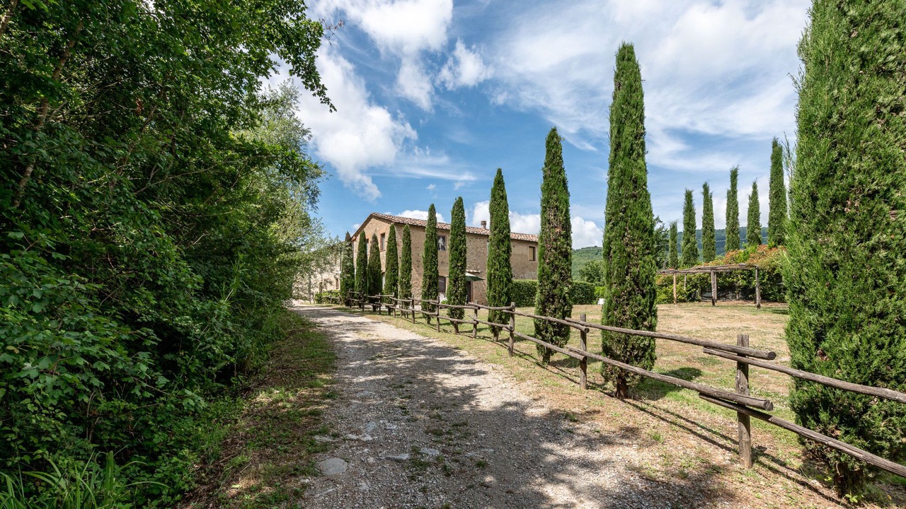 Photo of Outdoor in Montieri