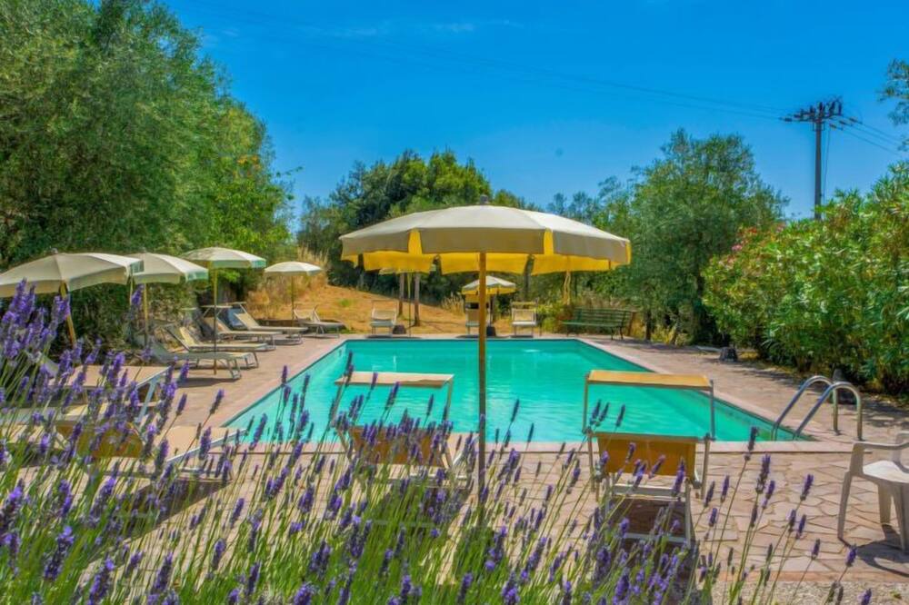 Photo of Outdoor in Simignano
