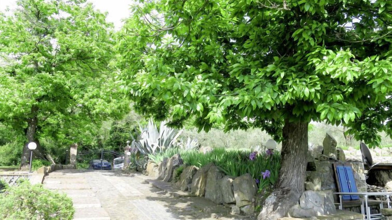 Photo of Outdoor in Bolsena