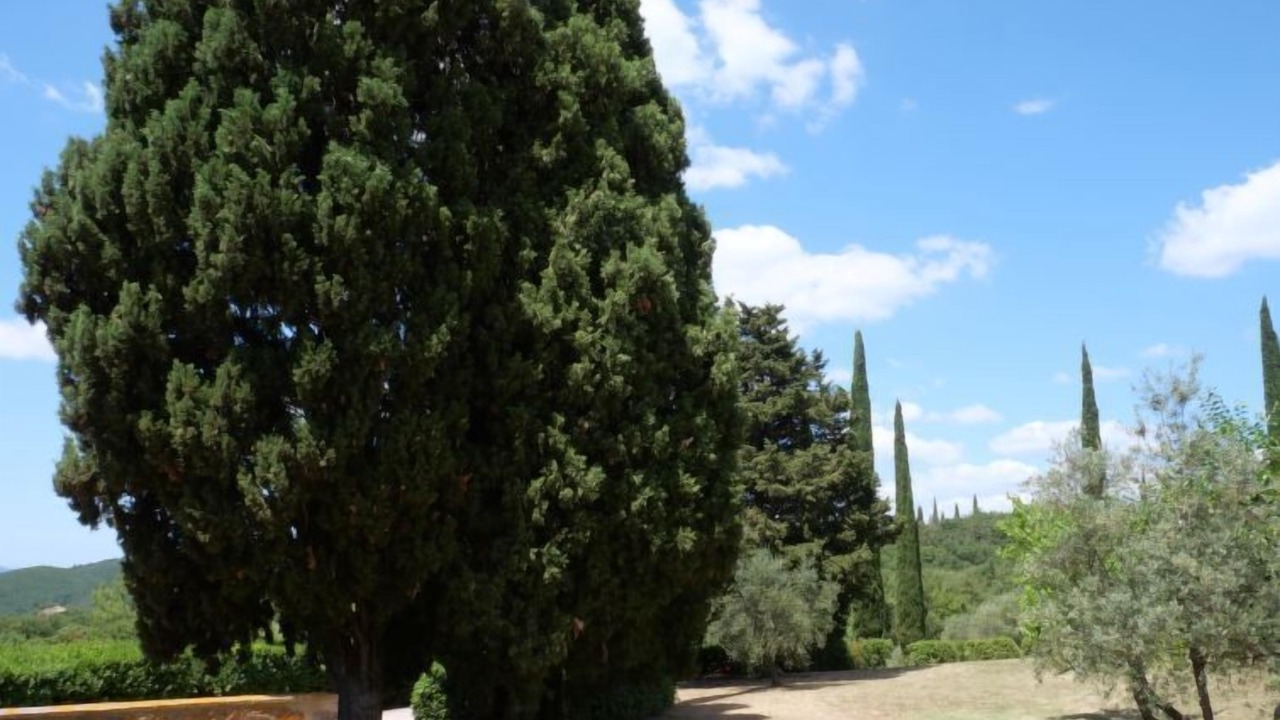 Photo of Outdoor in Roccastrada