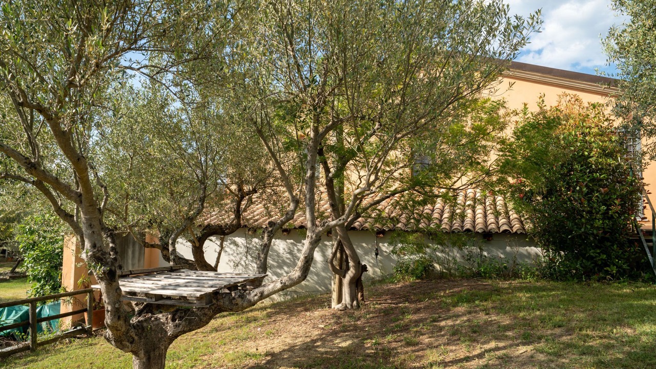 Photo of Outdoor in Collecorvino
