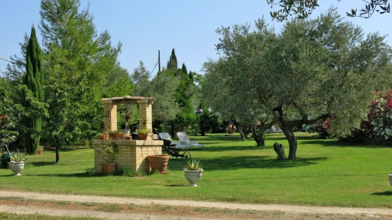 Photo of Outdoor in Collecorvino