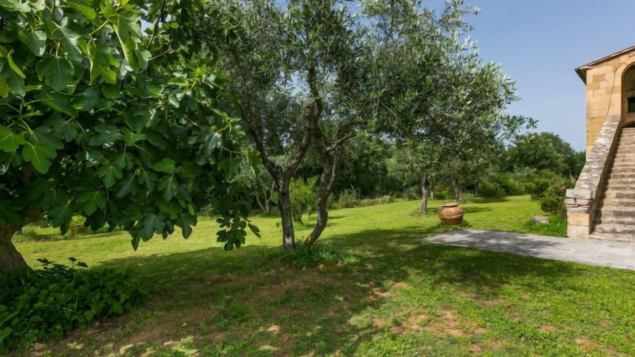 Photo of Outdoor in Sorano