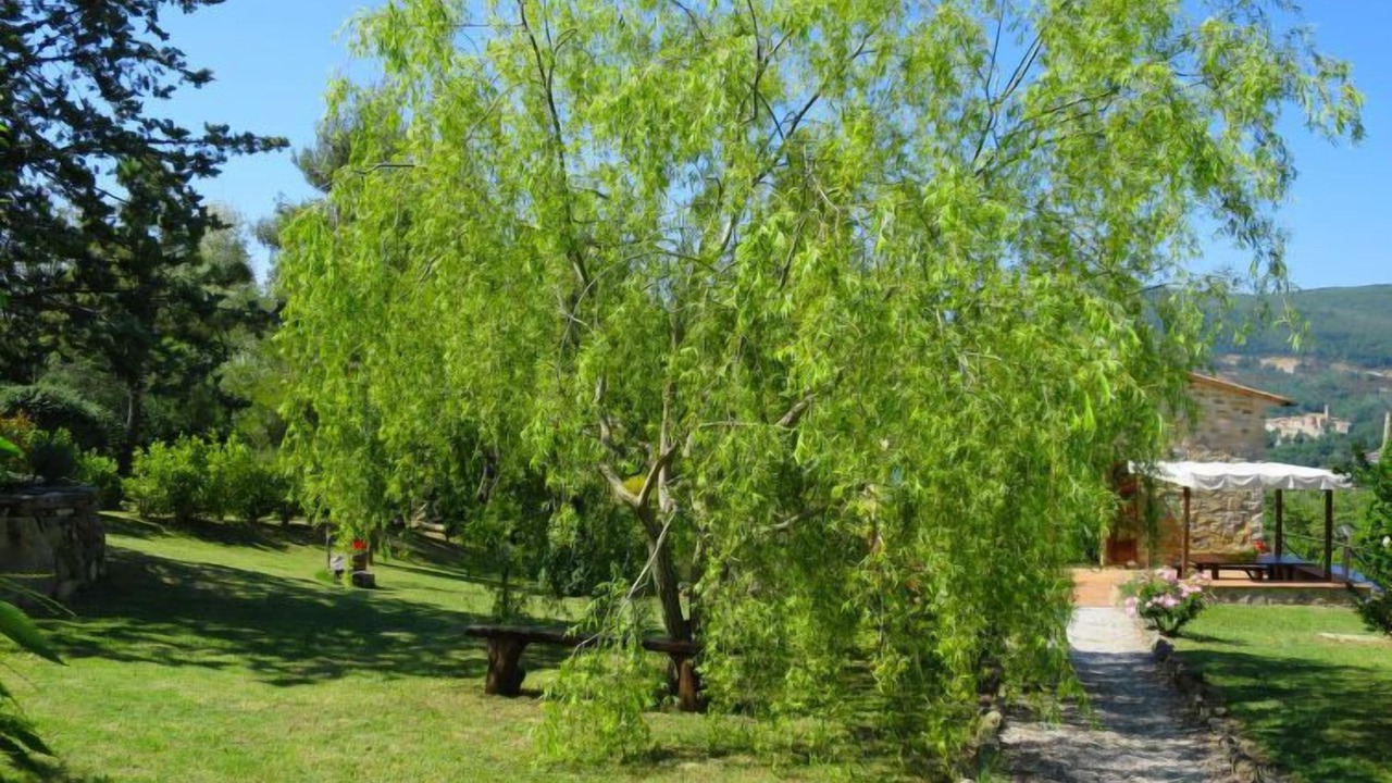 Photo of Outdoor in Castelnuovo di Val di Cecina