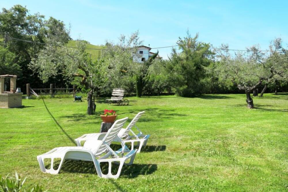 Photo of Outdoor in Collecorvino