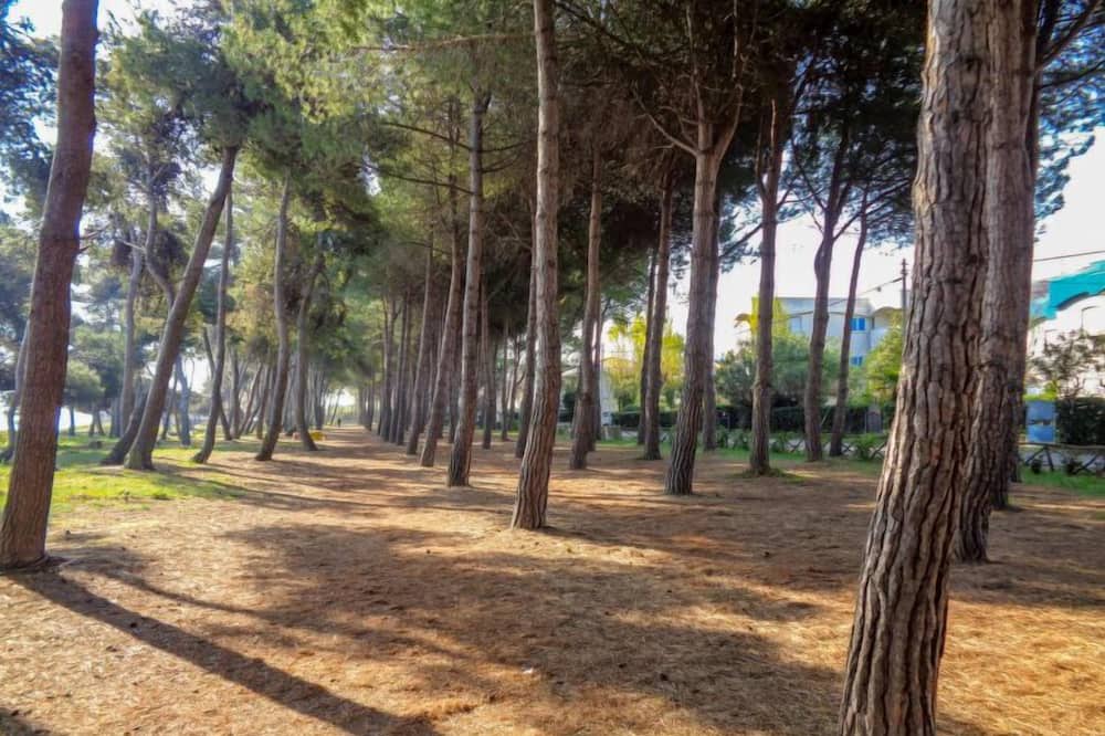 Photo of Outdoor in Silvi