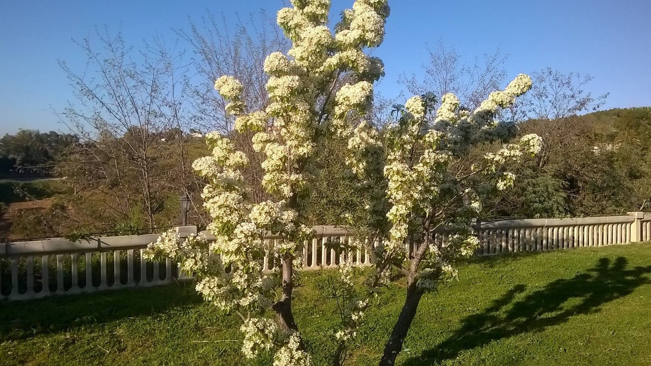 Photo of Outdoor in Santa Sofia dʼEpiro