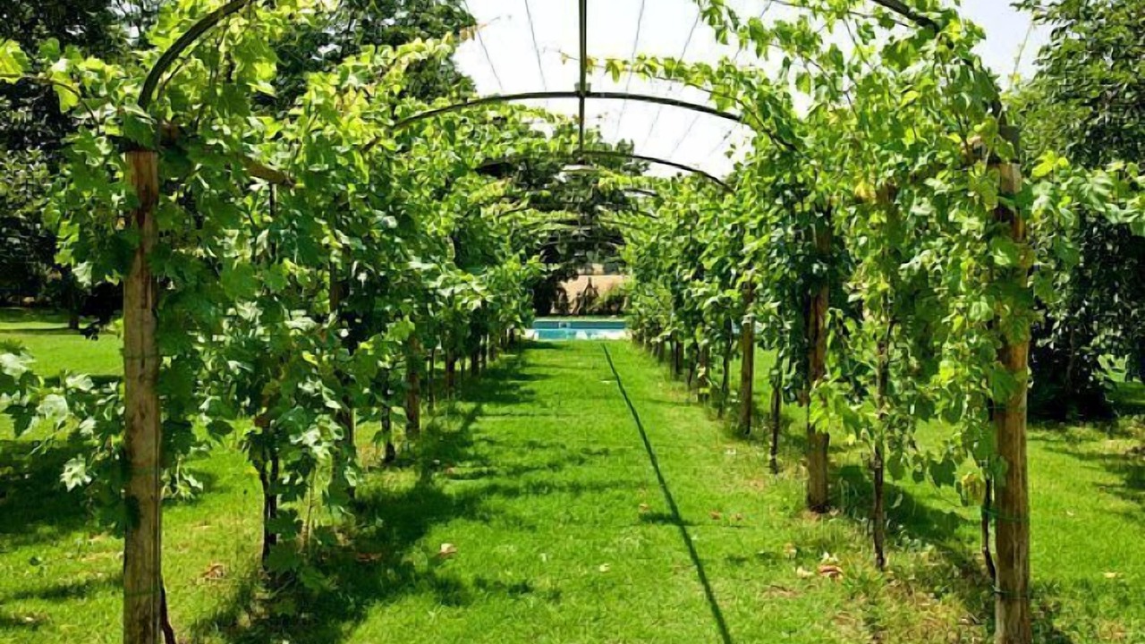 Photo of Outdoor in Poreta