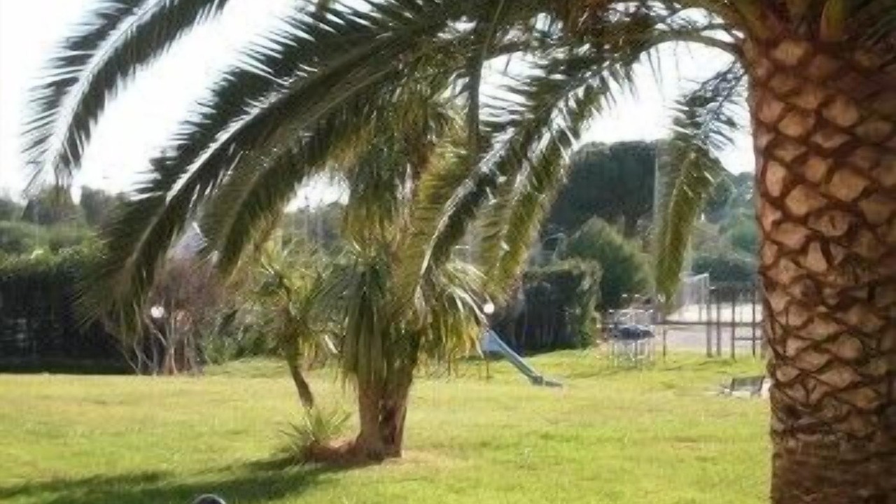 Photo of Outdoor in Lido