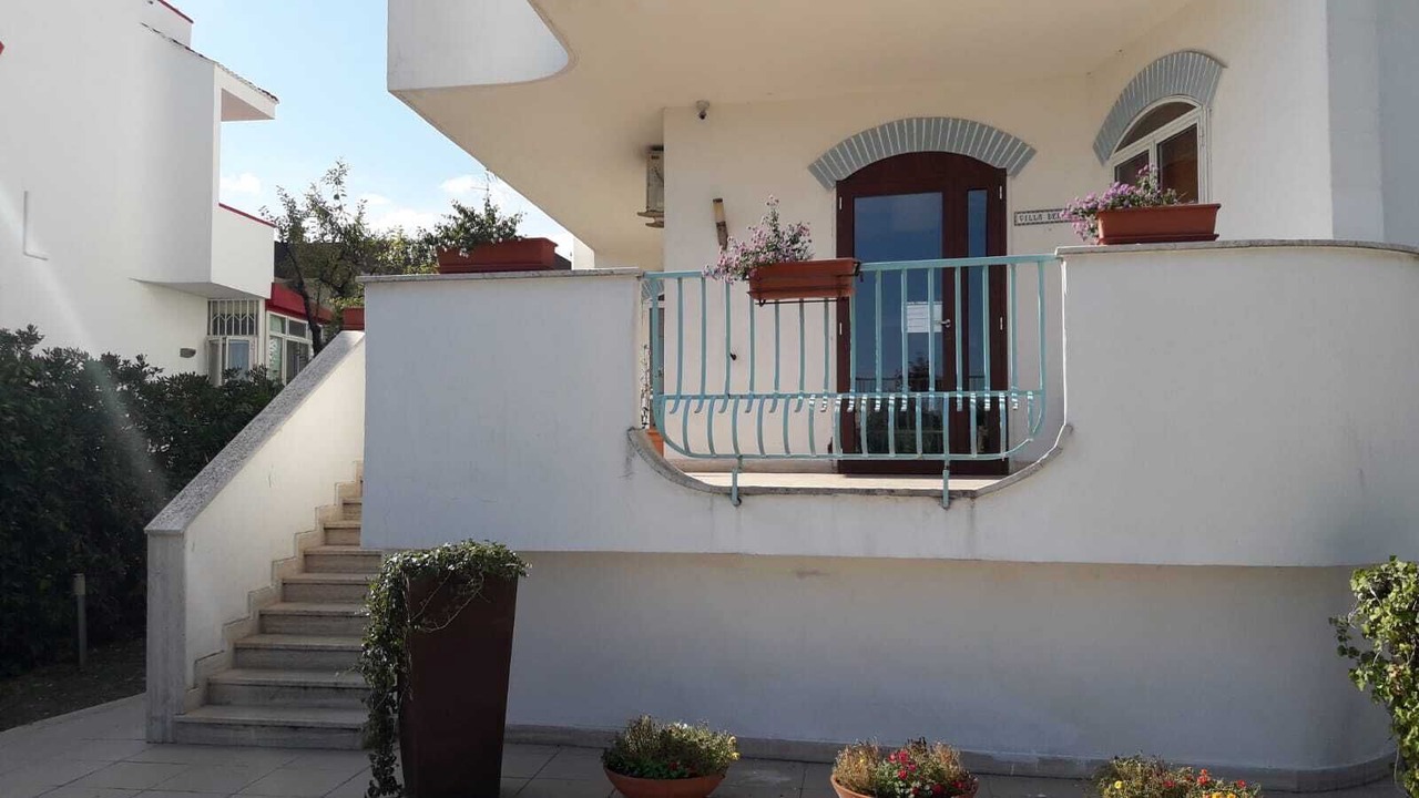 Photo of Outdoor in Municipio 5