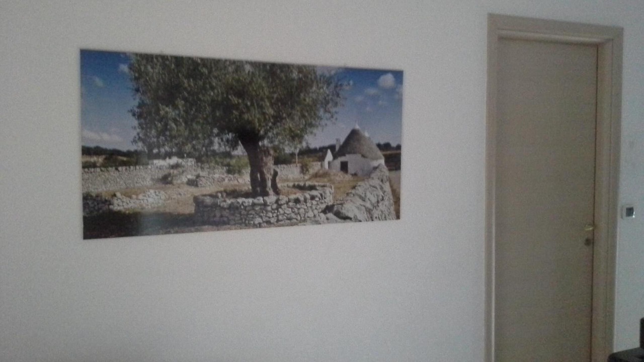 Photo of Others in Municipio 5