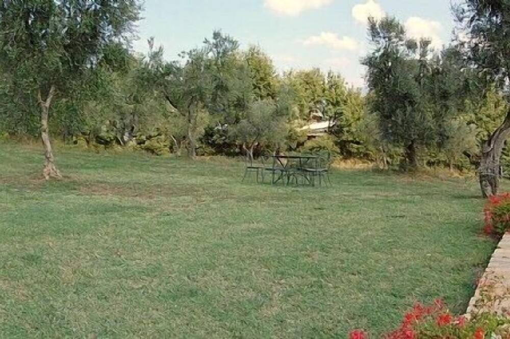 Photo of Outdoor in Tarano