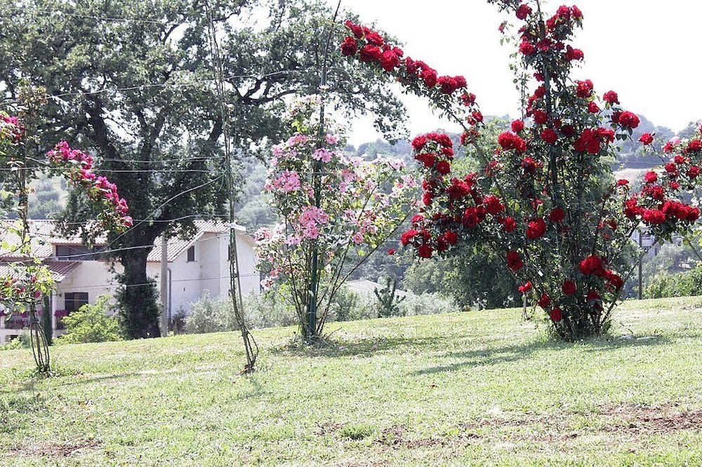 Photo of Outdoor in Tarano