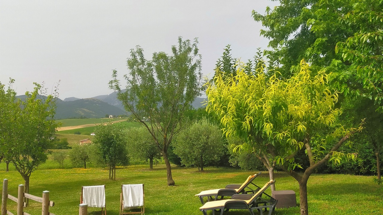 Photo of Outdoor in Frontone
