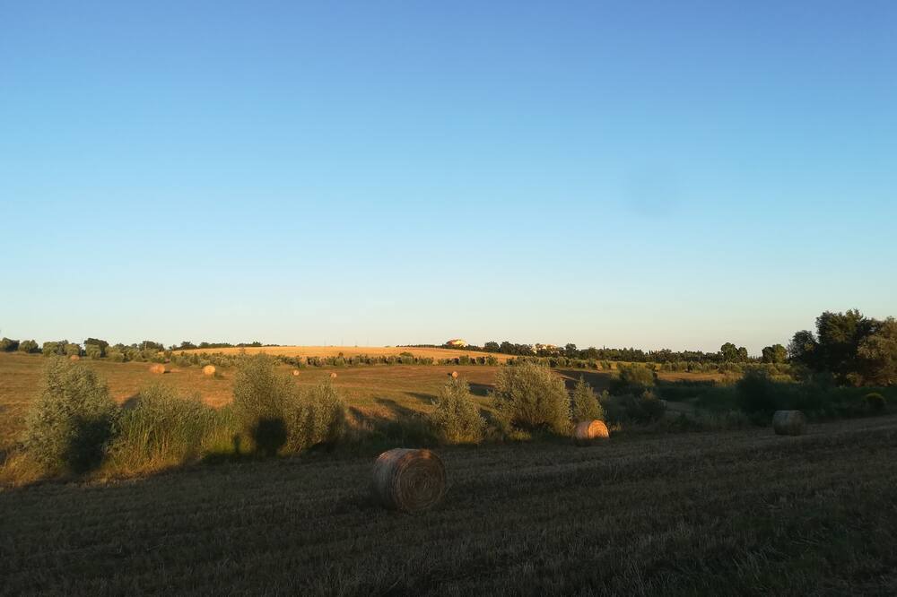 Photo of Others in Pescia Fiorentina