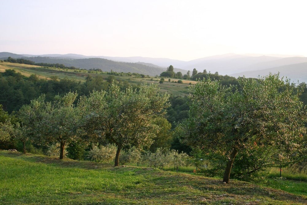 Photo of Outdoor in Calzolaro
