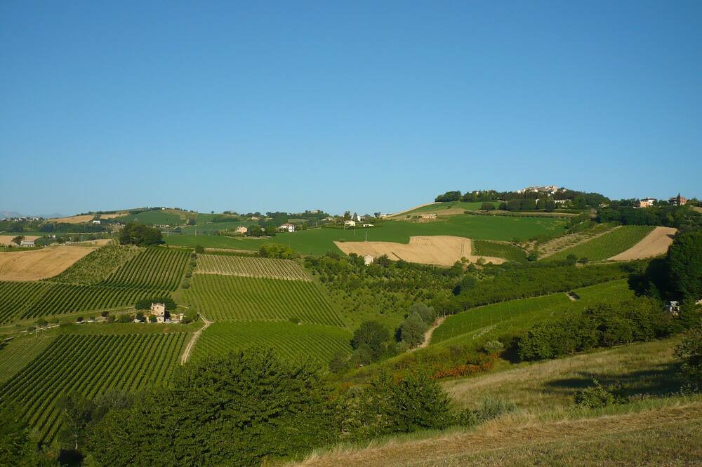 Photo of Others in Ortezzano
