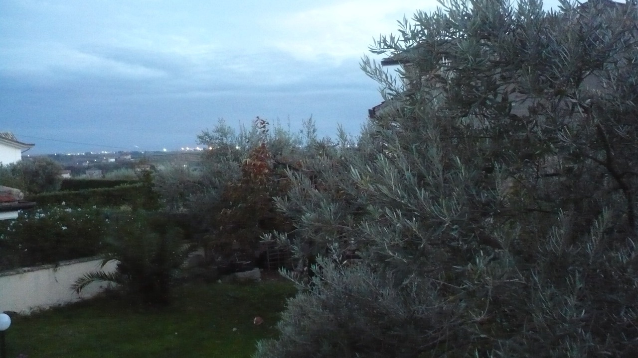 Photo of Others in Tollo