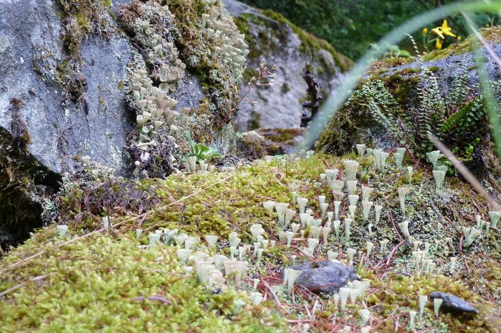 Photo of Outdoor in Cerian-Epaillon