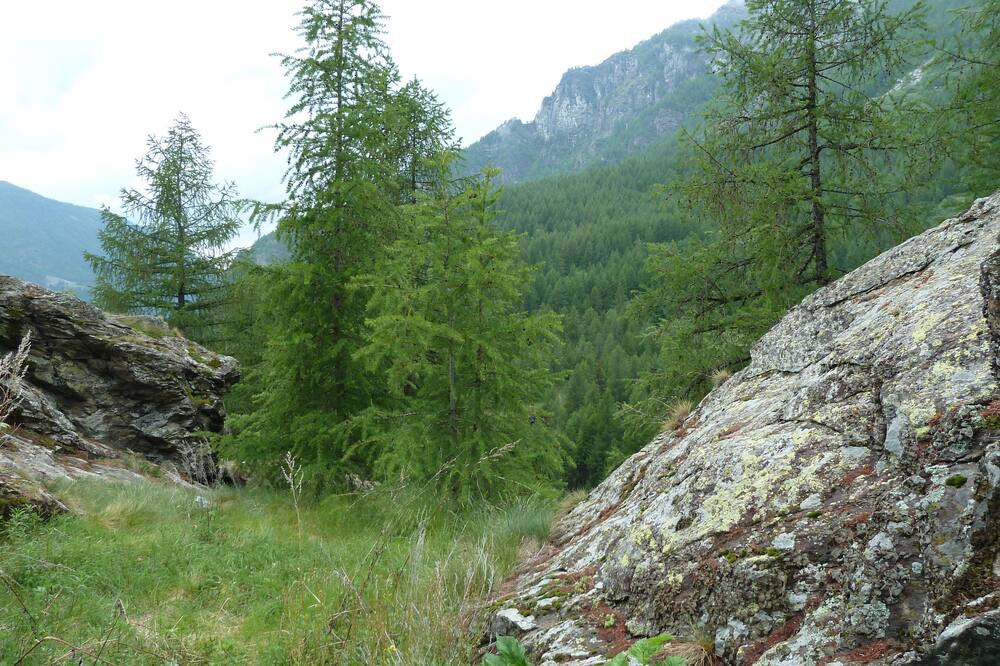 Photo of Outdoor in Cerian-Epaillon