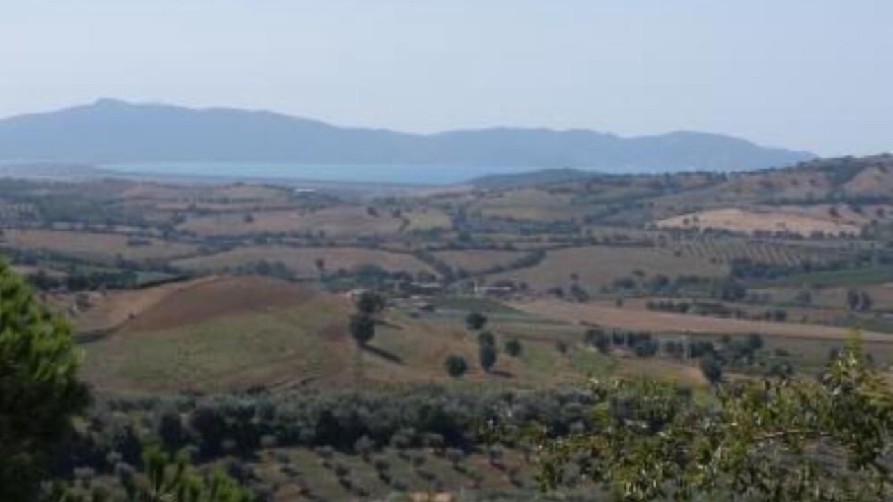 Photo of Others in Montiano
