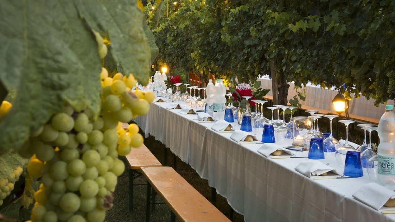 Photo of Others in Fratte Rosa