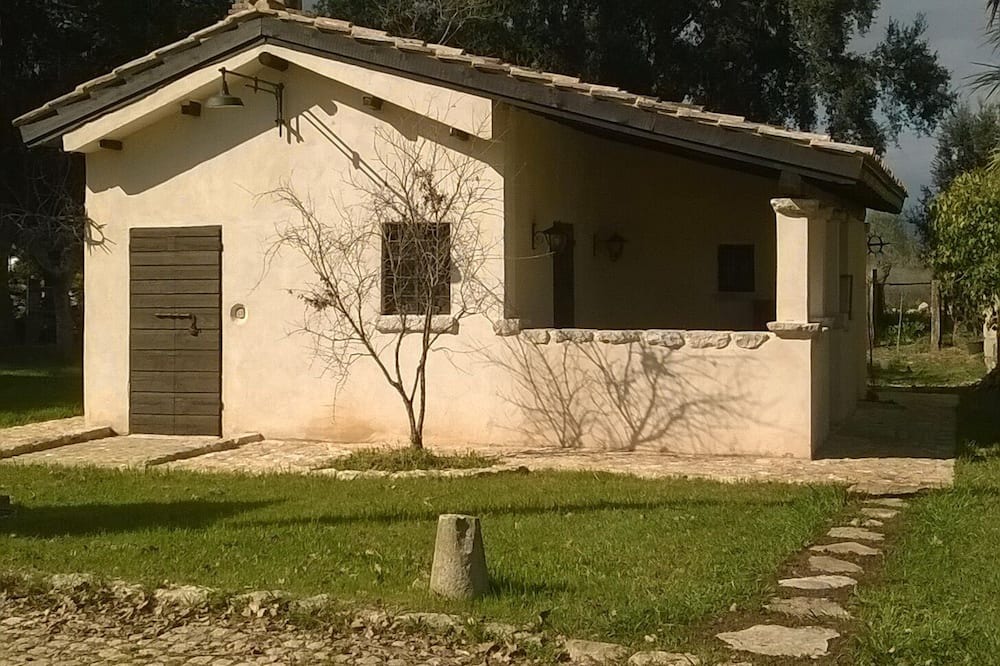Photo of Others in Pontinia