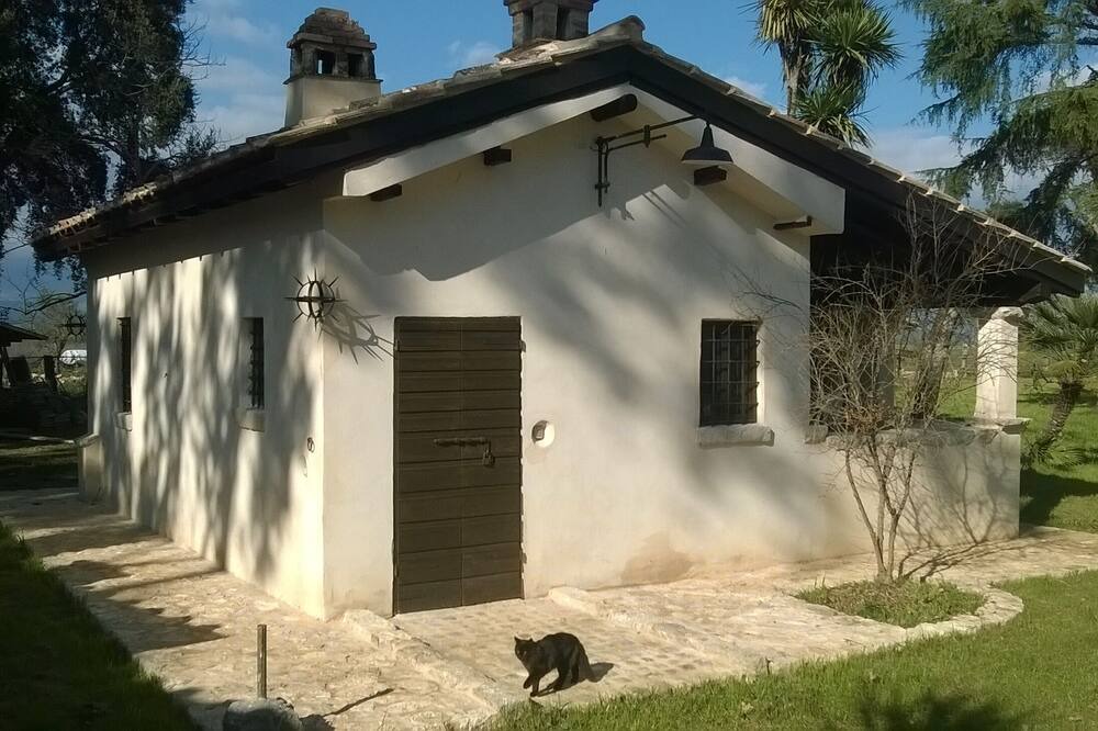 Photo of Outdoor in Pontinia