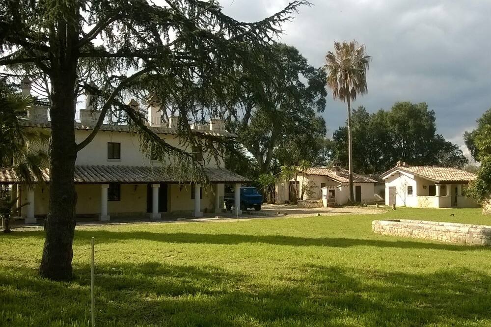 Photo of Outdoor in Pontinia