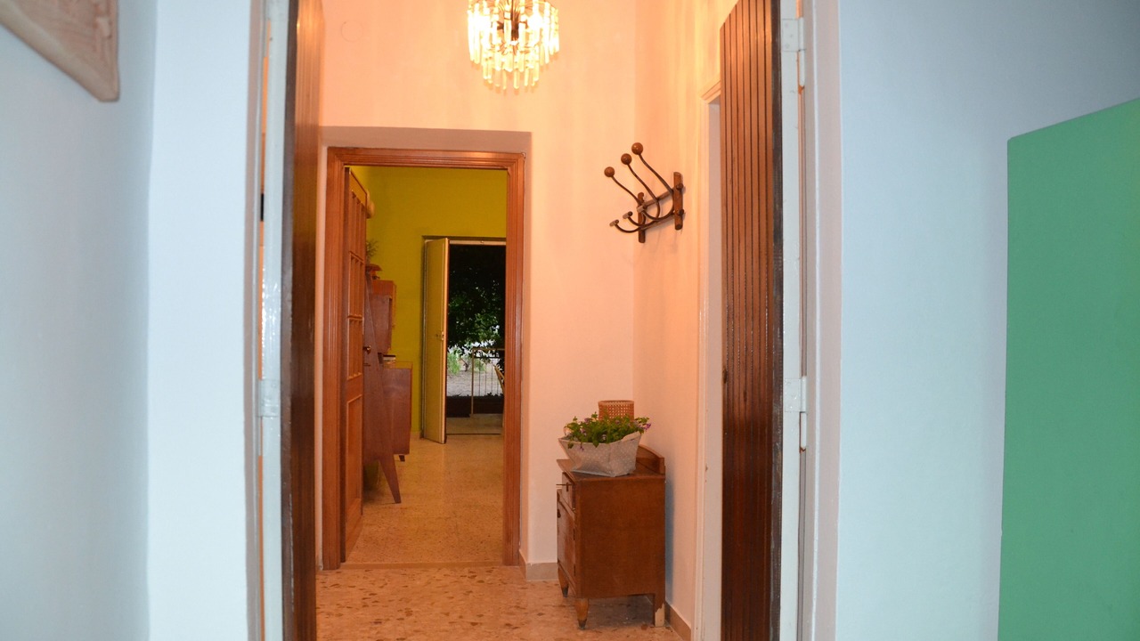 Photo of Others in Terracina