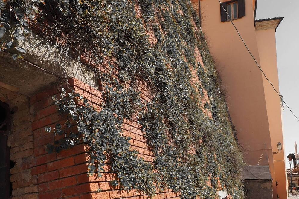 Photo of Bedroom in Cermignano