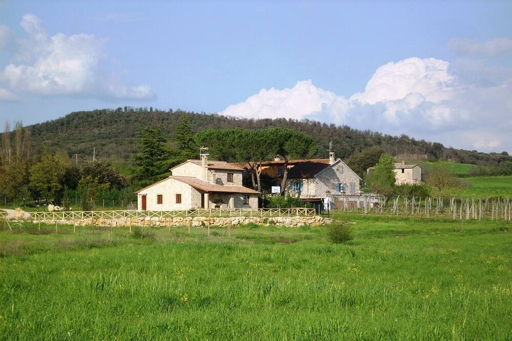 Photo of Outdoor in Amelia