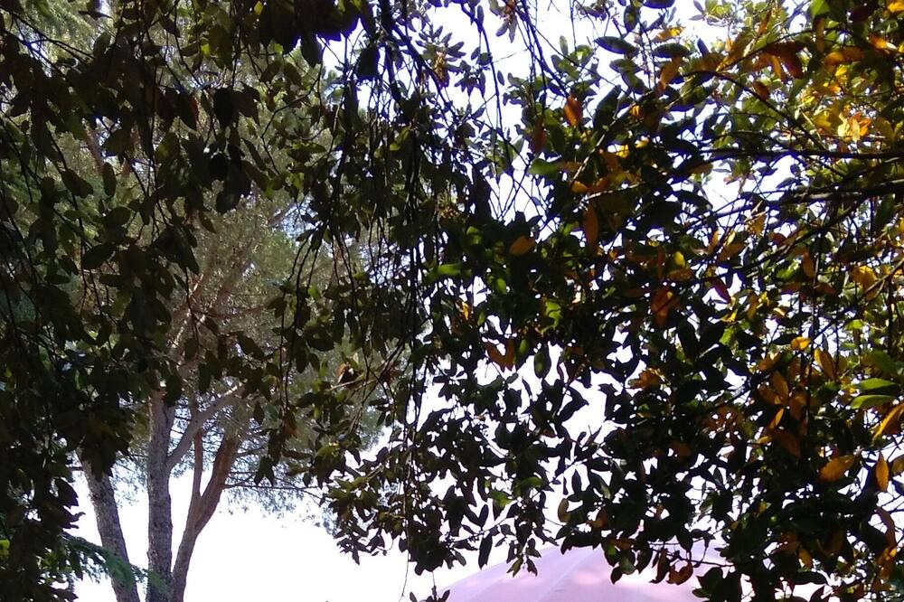 Photo of Outdoor in Amelia