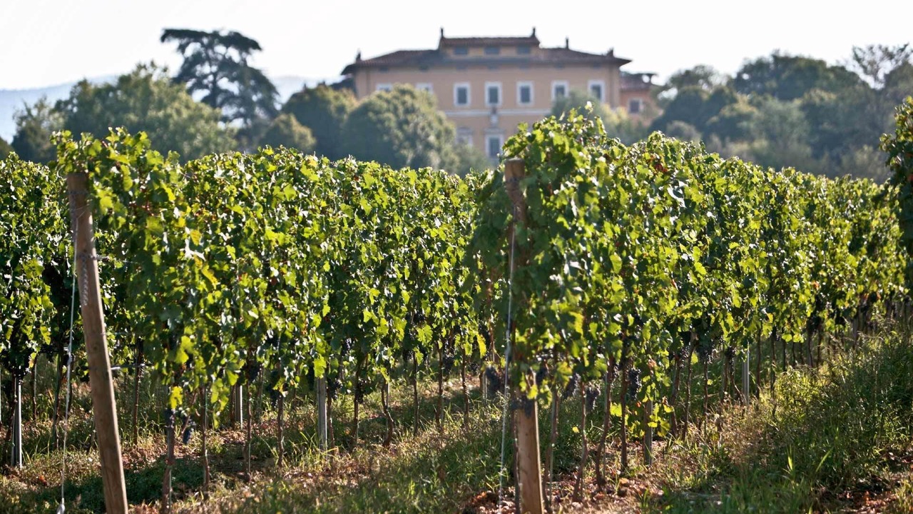 Photo of Outdoor in Montagnano