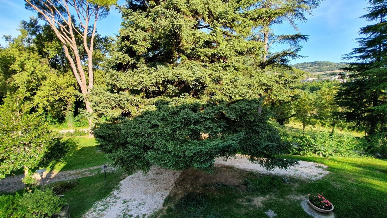 Photo of Outdoor in Dovadola