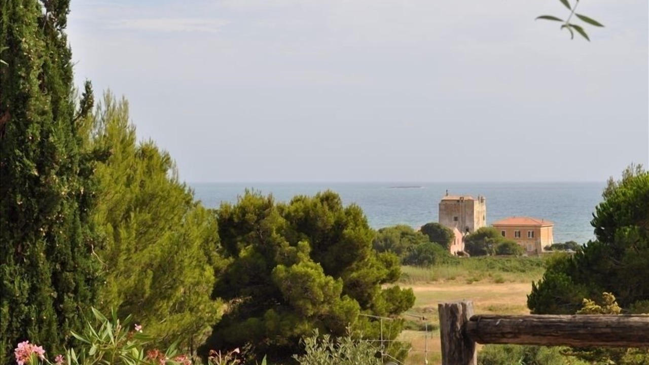Photo of Others in Ansedonia