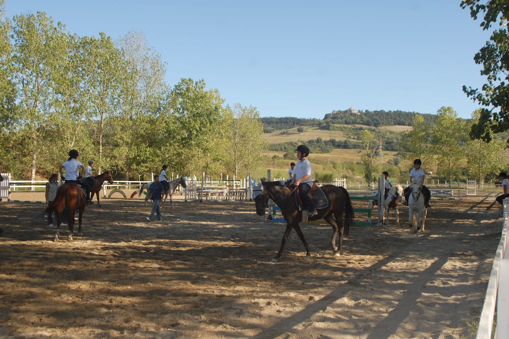 Photo of Outdoor in Montoro