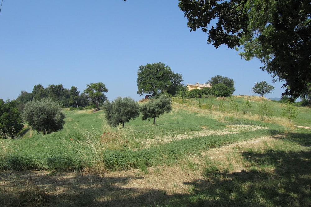 Photo of Outdoor in San Severino Marche